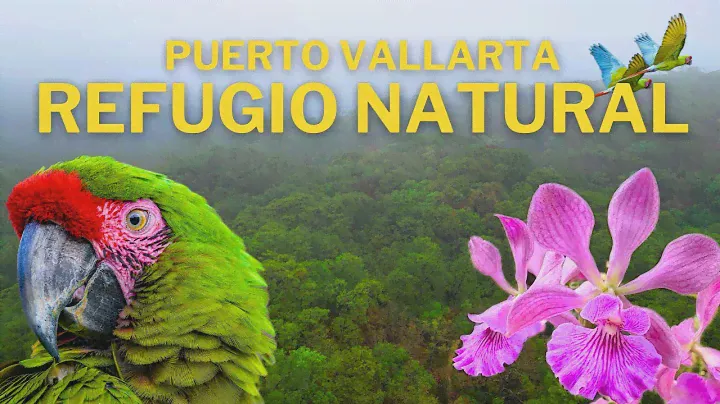 El Santuario de las Guacamayas y el Jardín Botánico de Vallarta - Jalisco.